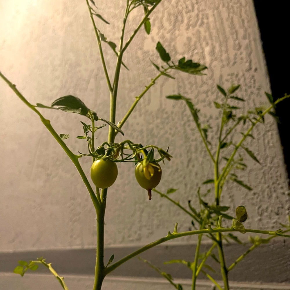 SALE, please come take this stuff off my hands! 30% off 2 or more items!! SALE!!